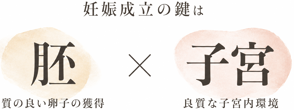 妊娠成立の鍵は「胚」×「子宮」。質の良い卵子の獲得と、良質な子宮内環境。